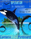 Delfíni, Zvieratá - Schémata, motivy na mobil - Ikonka
