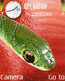 Had, Zvieratá - Schémata, motivy na mobil - Ikonka