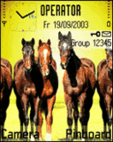 Koně, Zvieratá - Schémata, motivy na mobil - Ikonka