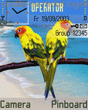Papoušci na pláži, Zvieratá - Schémata, motivy na mobil - Ikonka