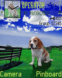 Pes, Zvieratá - Schémata, motivy na mobil - Ikonka