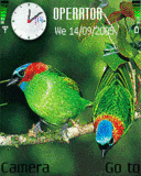 Z ptačí říše 10, Zvieratá - Schémata, motivy na mobil - Ikonka